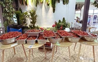 快樂工作，開心生活——普健生物第三屆龍蝦節圓滿結束