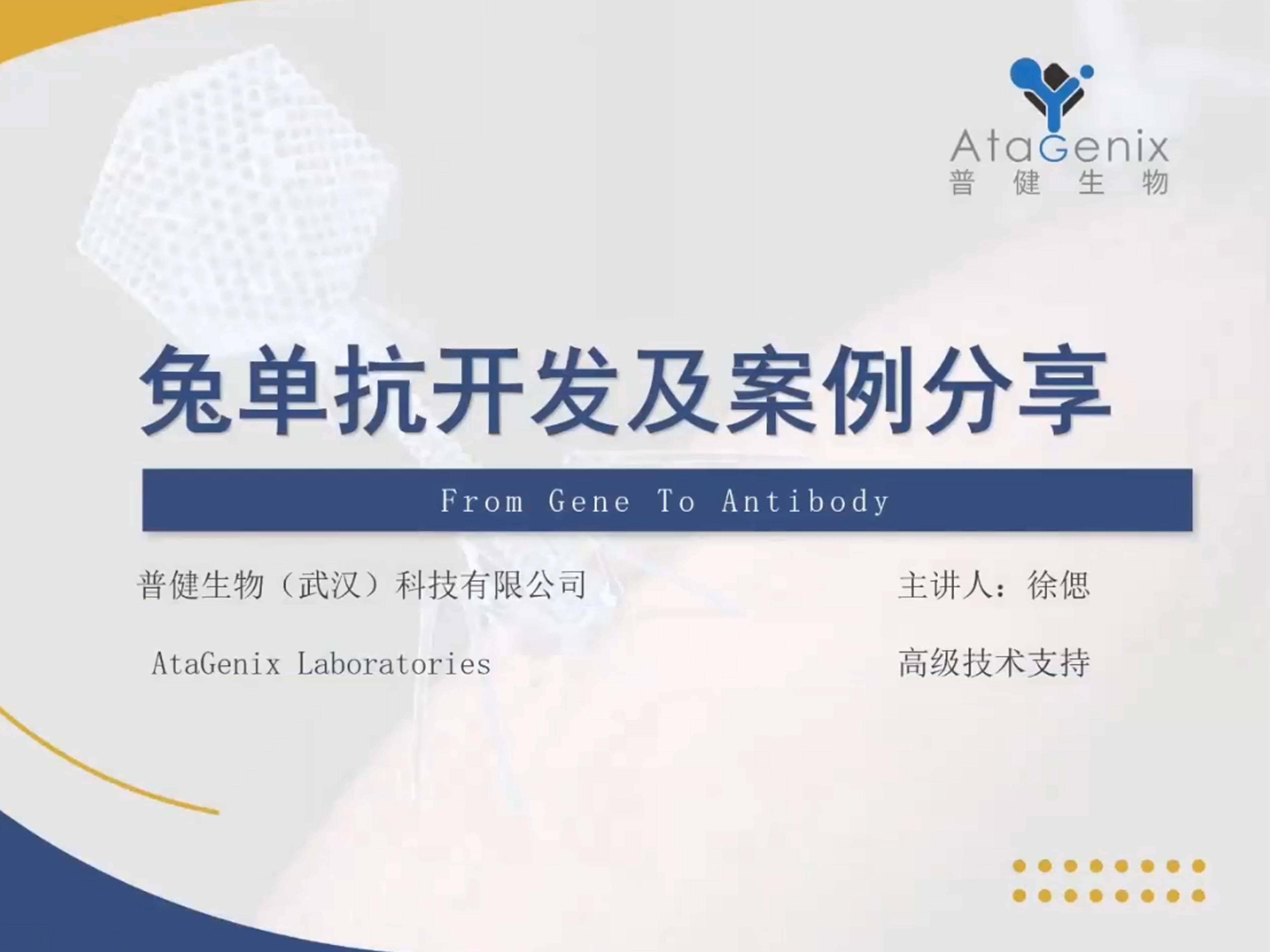 兔單抗開發(fā)及案例分享