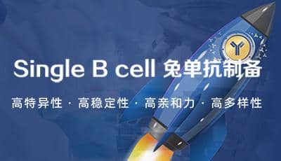 普健生物Xten™ Mab Single B 兔 單克隆抗體開發服務驚喜上市