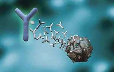 什么是同型對照抗體?該如何選擇?