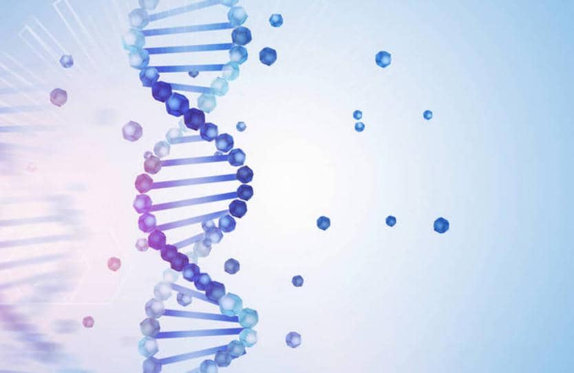 有產品|工具酶哪家好？用過才知道