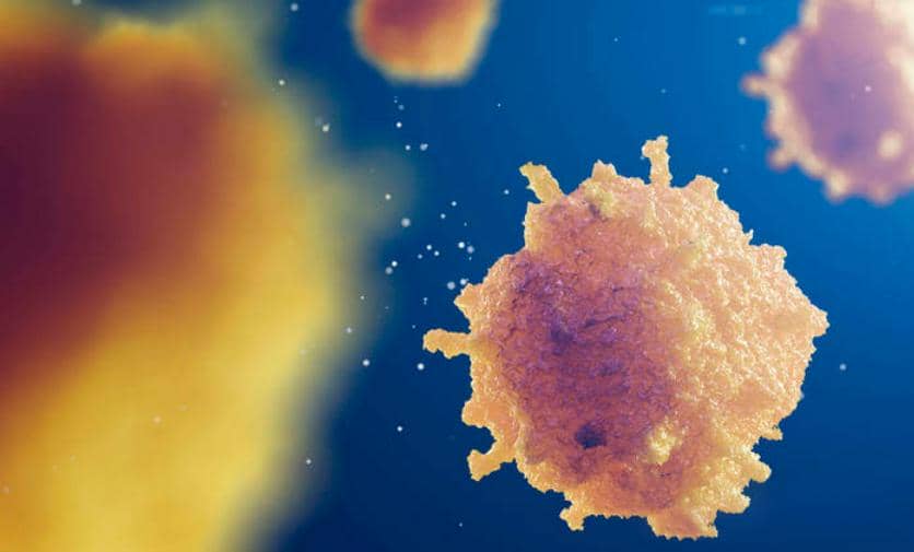 【高分文獻解讀第一期】CD24說：“Don't eat me！” 腫瘤免疫治療該怎么辦？