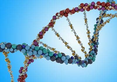 什么是MHC復合物?它在免疫系統中有哪些作用?