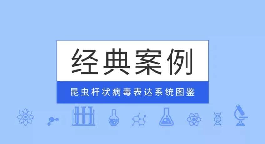 經典案例|普健生物昆蟲桿狀病毒表達系統