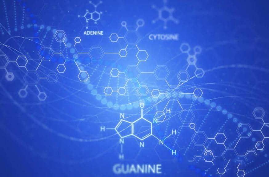 喜訊：2022年武漢國家生物產業基地公共服務平臺復核通過