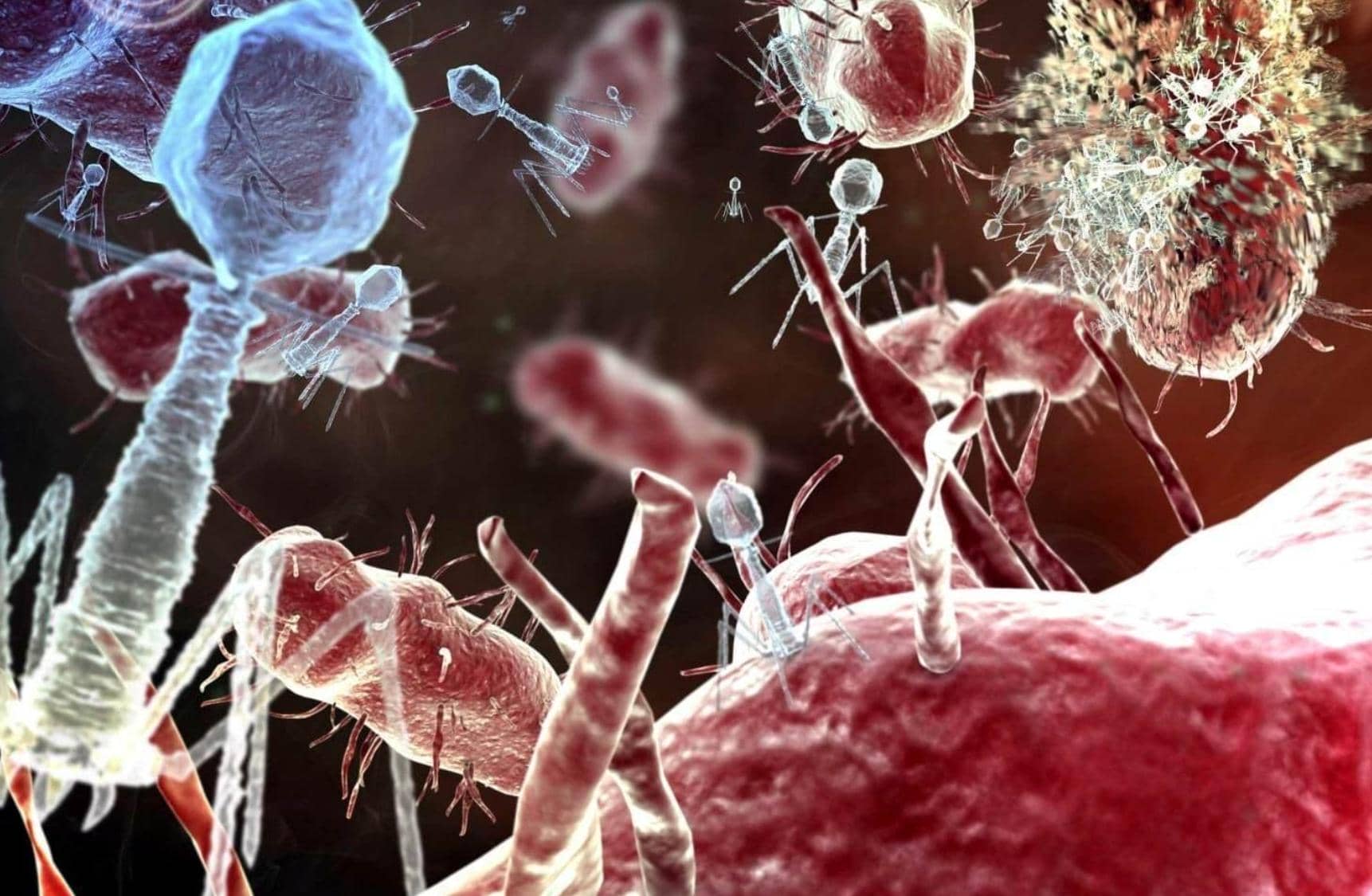 噬菌體展示技術(shù)應(yīng)用于抗體藥物研發(fā)的關(guān)鍵步驟和技術(shù)經(jīng)驗