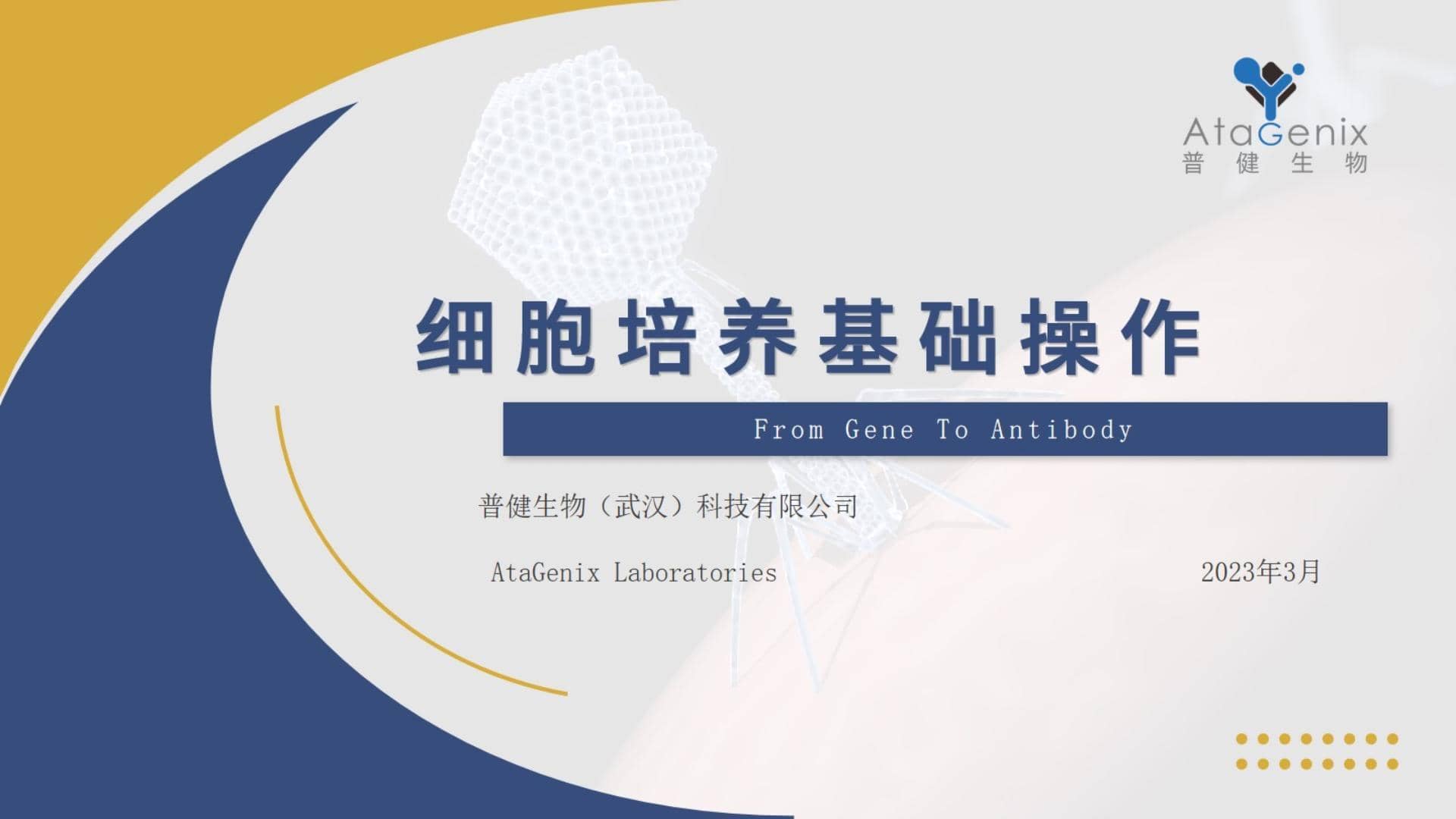 基礎(chǔ)試驗操作篇——細胞培養(yǎng)