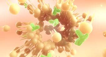 真核蛋白表達系統表達蛋白時表達量低的原因分析