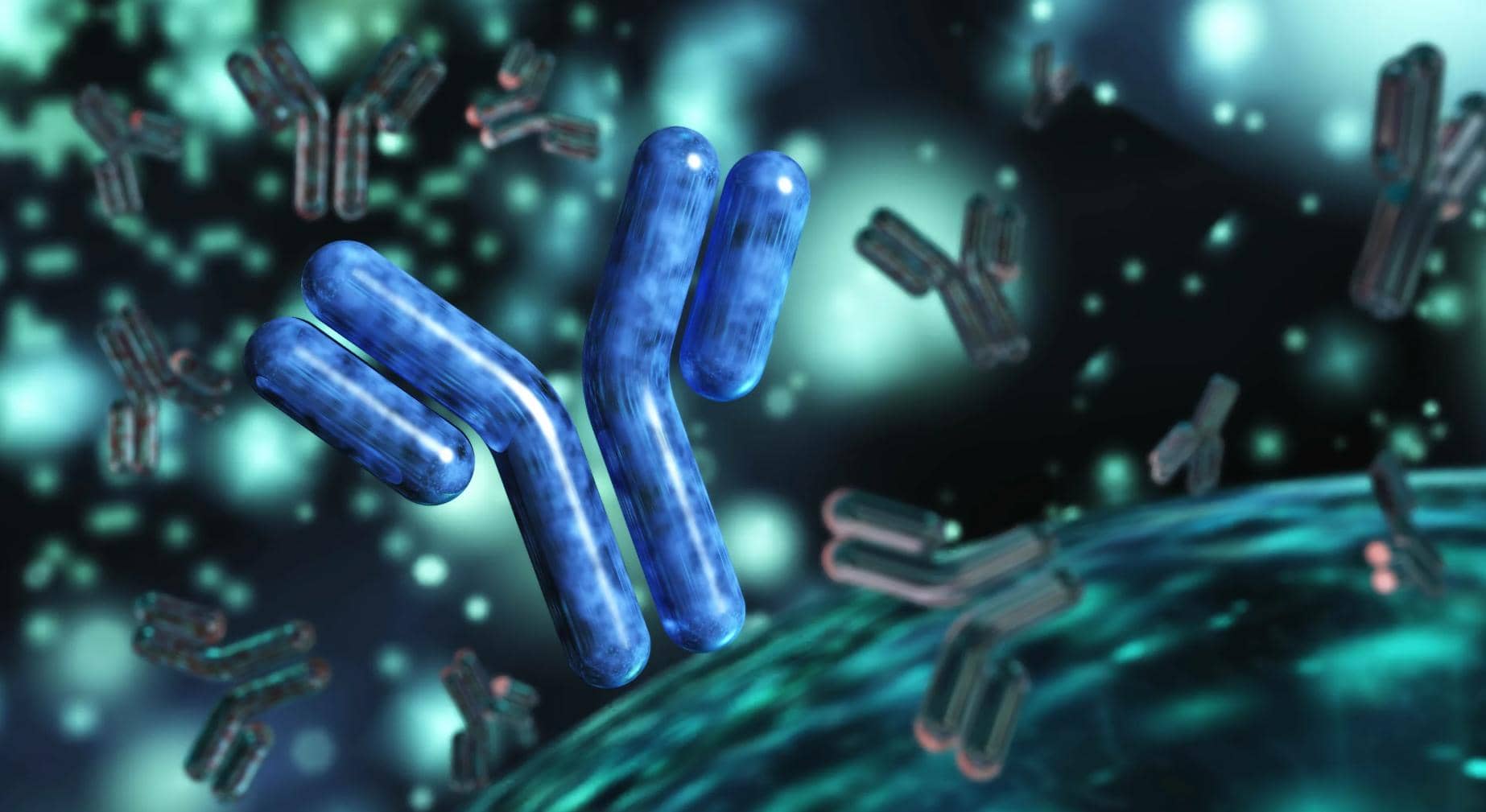 單克隆抗體技術之B細胞單克隆抗體在癌癥領域中的制備及應用分析