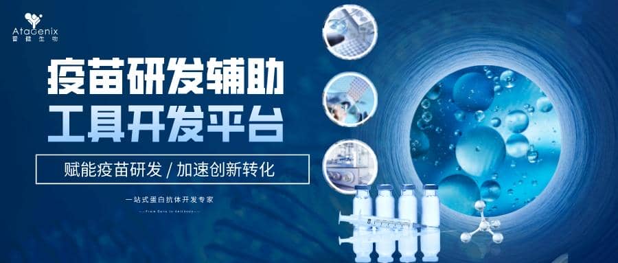 疫苗研發輔助工具開發平臺助您撬開千億藍海