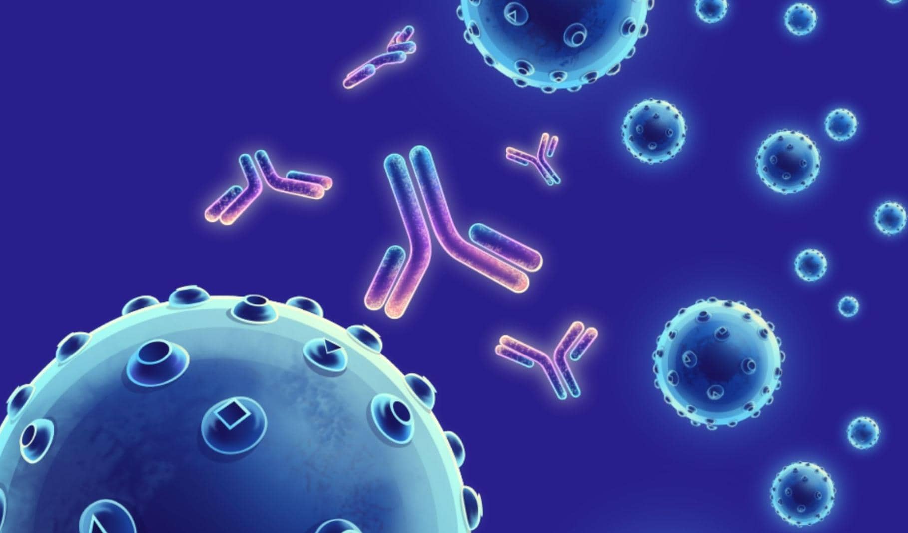 雜交瘤技術(shù)服務(wù)福利來(lái)襲 一站式承包你的科研需求