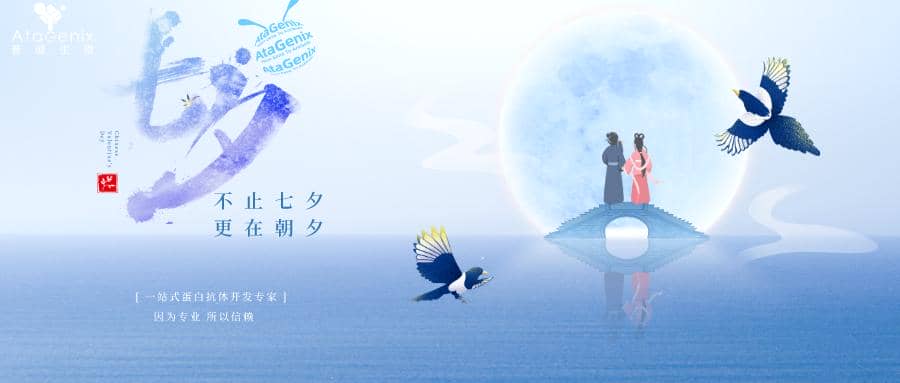 科研人CP指南|誰是你的科研搭子？？