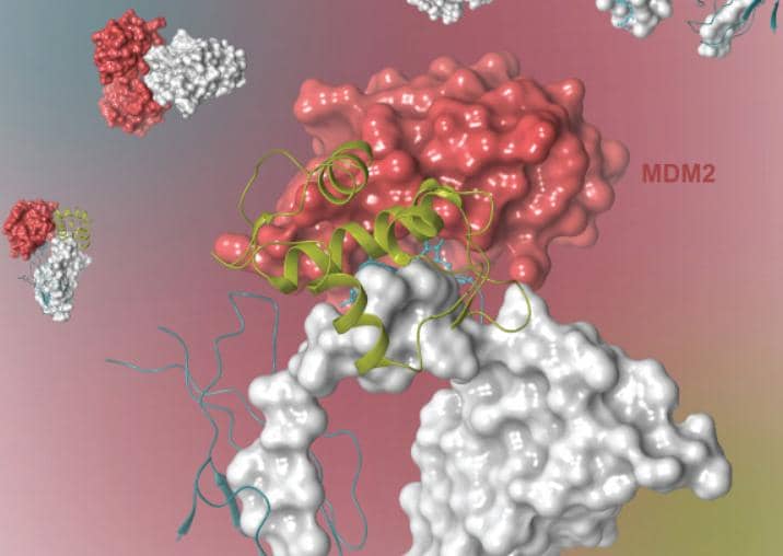 納米抗體（Nbs）在CAR-T細胞療法中的應用