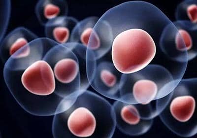 盤點(diǎn)質(zhì)粒提取過程中的一些常見問題