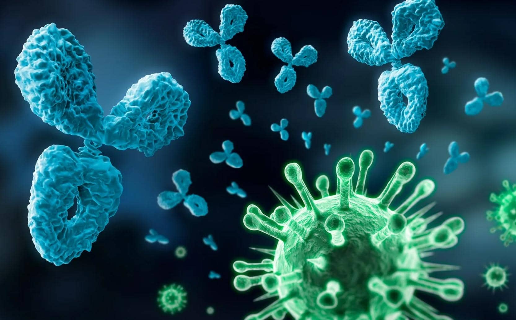 納米抗體在腫瘤、病毒感染、抗生素、解毒劑的臨床應(yīng)用