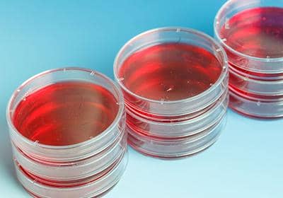 盤點(diǎn)細(xì)胞培養(yǎng)基的主要成分及其類型