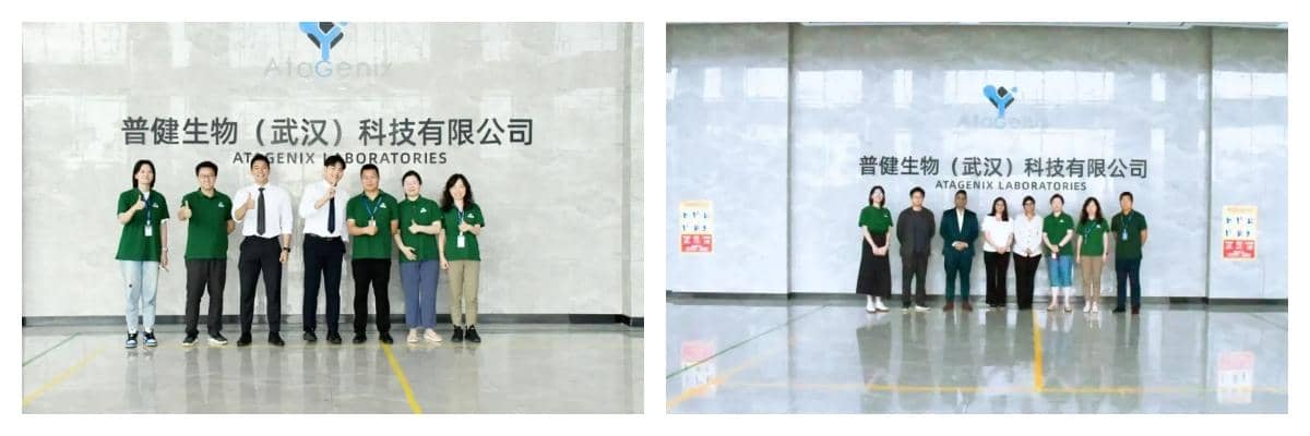 海外客戶(hù)走進(jìn)普健生物實(shí)驗(yàn)研發(fā)基地，為一站式蛋白抗體開(kāi)發(fā)平臺(tái)點(diǎn)贊