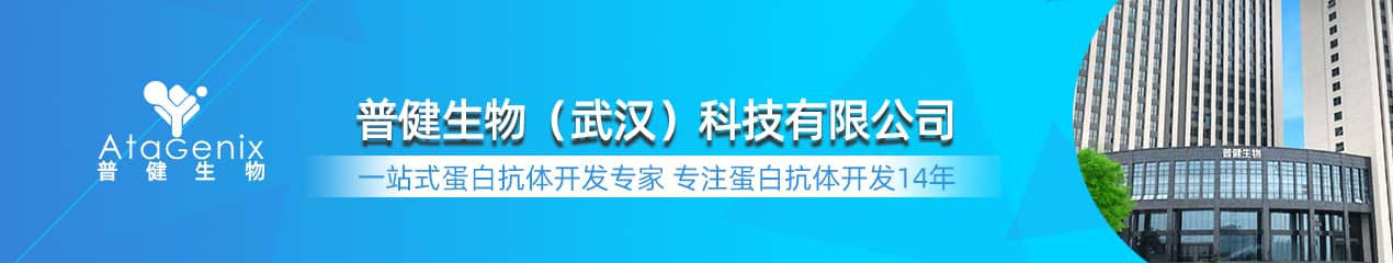 普健生物AtaGenix14年蛋白抗體定制服務(wù)