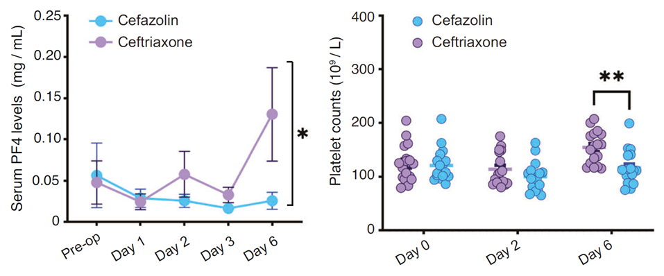 Ceftriaxone抑制C3上調(diào)、維持PF4水平，發(fā)揮認(rèn)知保護(hù)作用